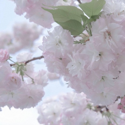 兽设山谷场景设计兽圈社群